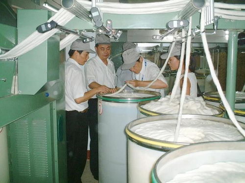 棉麻厂的落日 一个老工人的岁月记忆