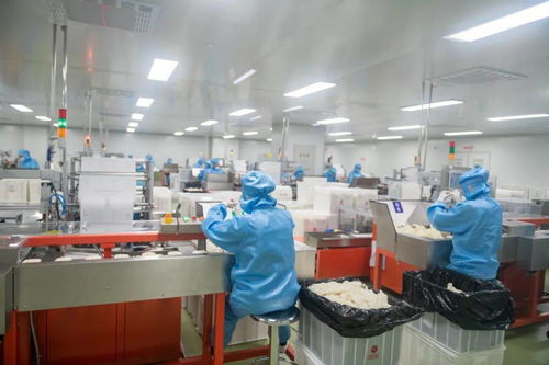 博兴破产服务案例 债务化解与企业重生之路