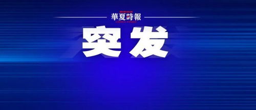 中植集团申请破产清算获法院受理，破产清算服务启动