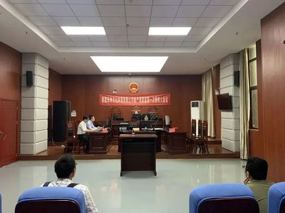 服务保障“双一号”工程 红谷滩法院高效召开破产清算案首次债权人会议